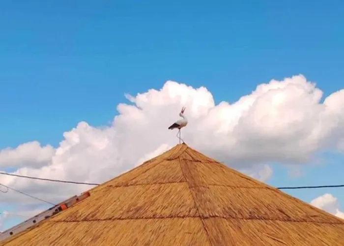 Przytulasek Vakantiehuis Mecina